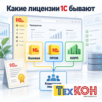 Какие лицензии 1С бывают